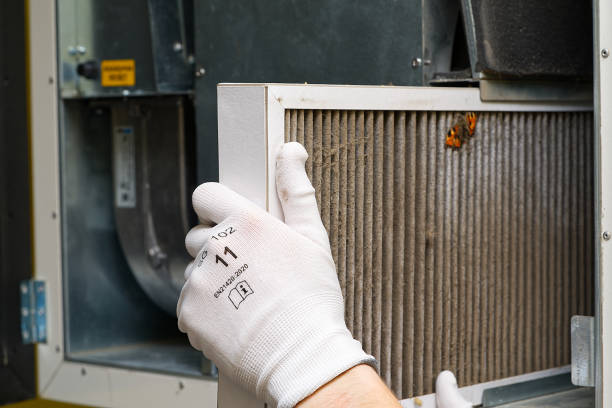 Air Duct Mold Removal in Ruch, OR